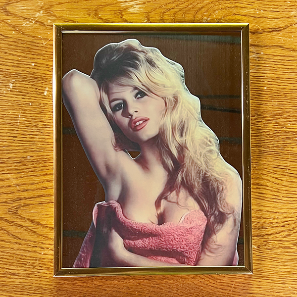Brigitte Bardot Mirror