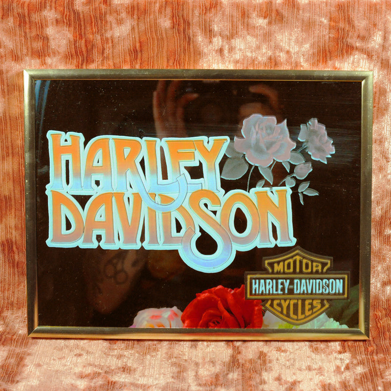 Harley Davidson Mirror