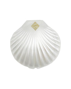 Seashell compact