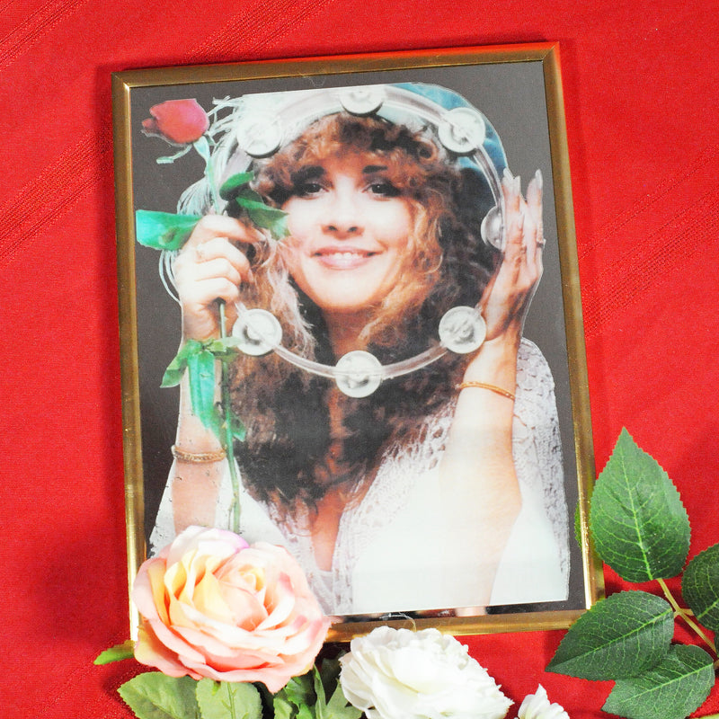 Stevie Nicks Mirror